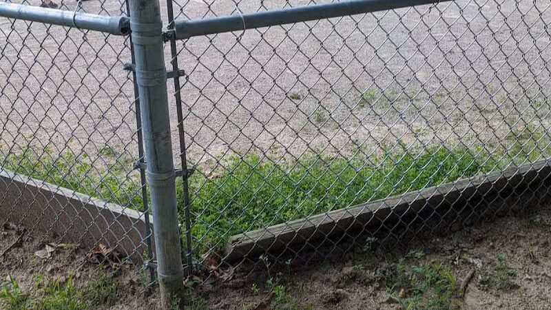 Bates Scout Park - Laingsburg,