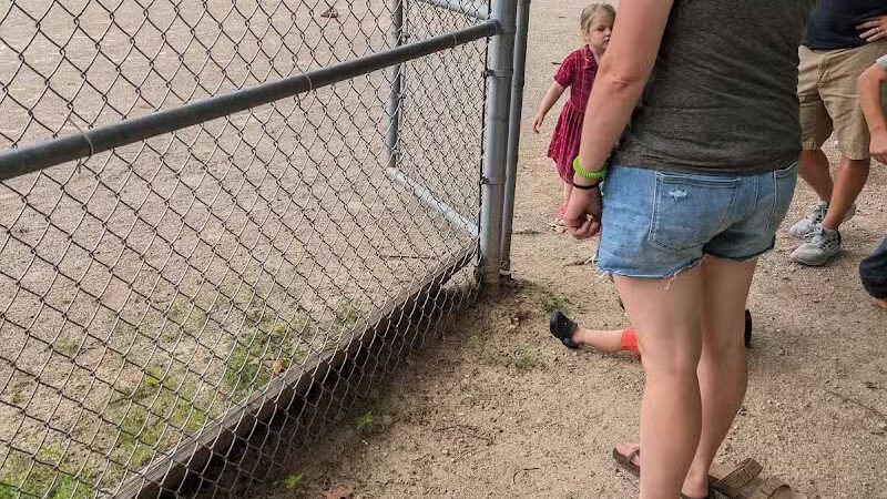 Bates Scout Park - Laingsburg,