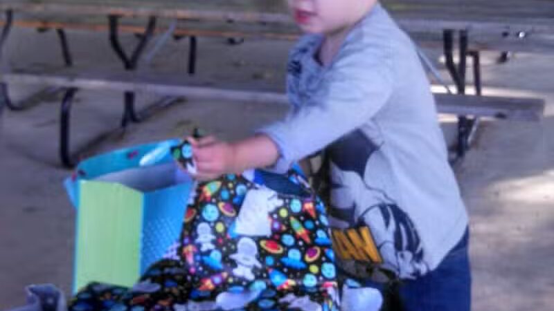 Bates Scout Park - Laingsburg,