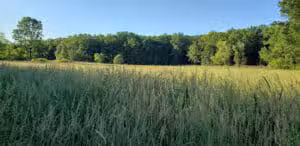 Rose Lake Wildlife Area - Parking Lot - Laingsburg,