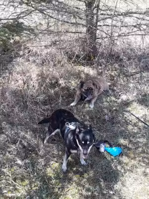 Sleepy Hollow State Park - Parking Lot - South East - Laingsburg,