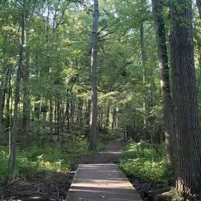 Rose Lake Wildlife Area - Parking Lot - Laingsburg,