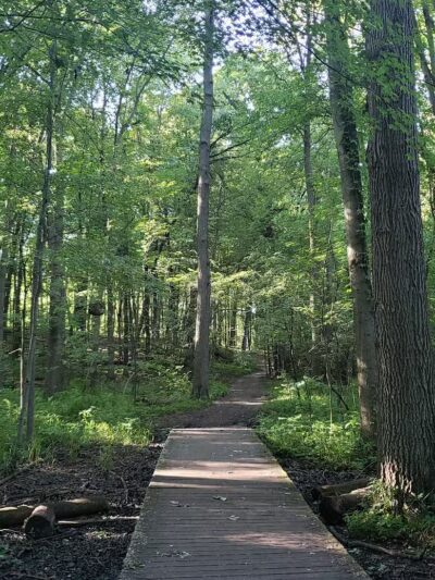 Rose Lake Wildlife Area - Parking Lot - Laingsburg,