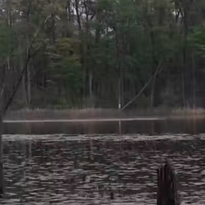 Rose Lake Wildlife Area - Parking Lot - Laingsburg,