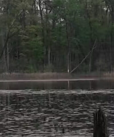 Rose Lake Wildlife Area - Parking Lot - Laingsburg,