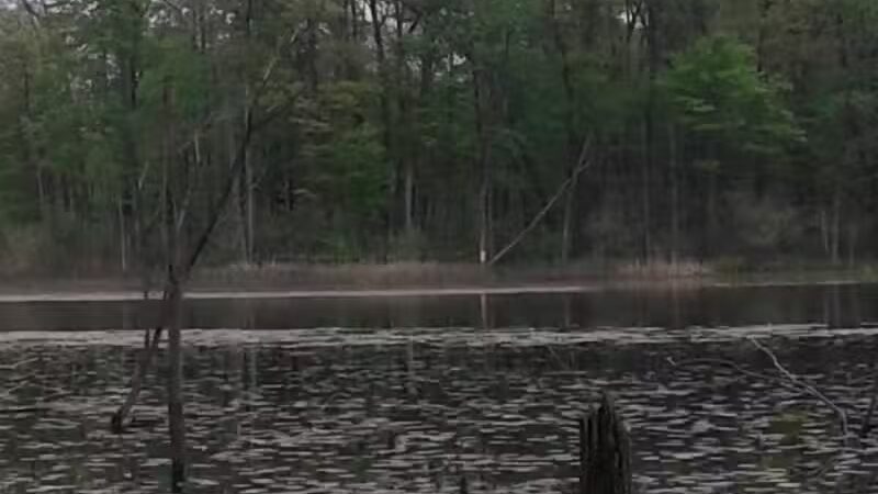 Rose Lake Wildlife Area - Parking Lot - Laingsburg,