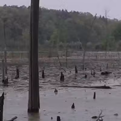 Rose Lake Wildlife Area - Parking Lot - Laingsburg,
