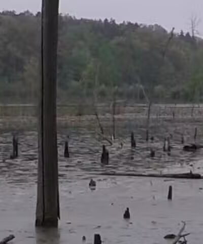 Rose Lake Wildlife Area - Parking Lot - Laingsburg,