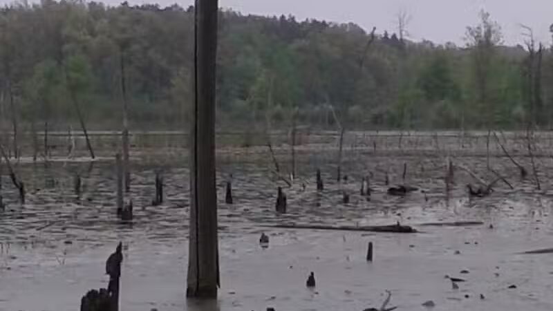 Rose Lake Wildlife Area - Parking Lot - Laingsburg,