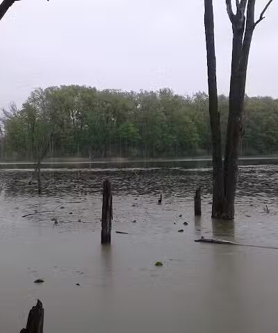 Rose Lake Wildlife Area - Parking Lot - Laingsburg,