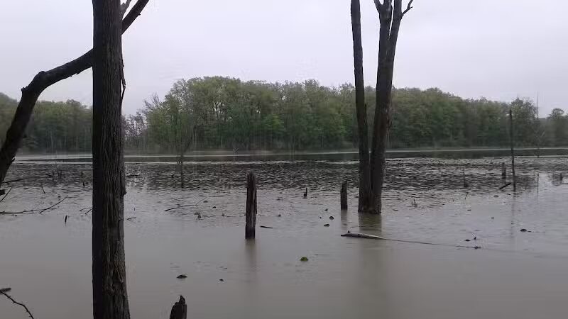Rose Lake Wildlife Area - Parking Lot - Laingsburg,