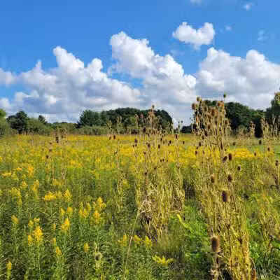 Sleepy Hollow State Park - Laingsburg,