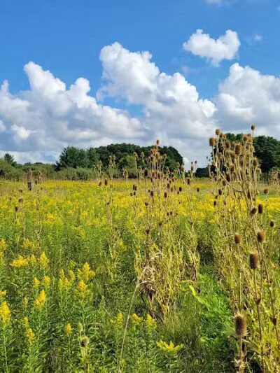 Sleepy Hollow State Park - Laingsburg,