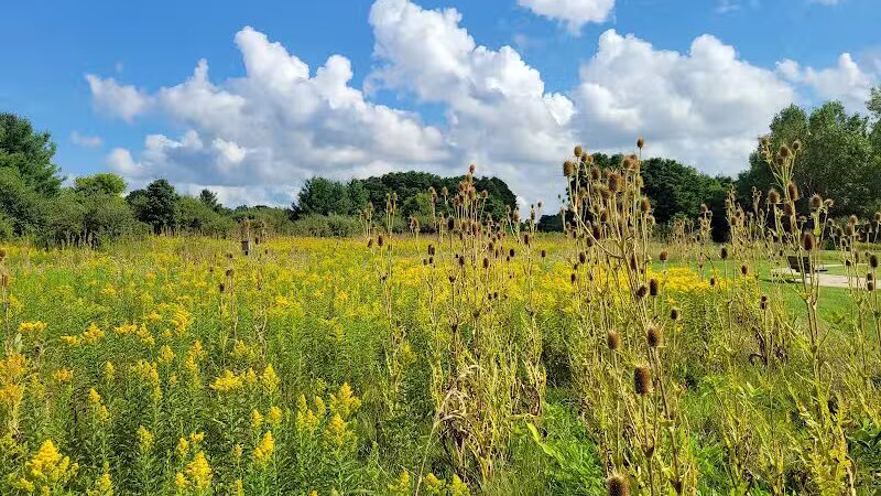 Sleepy Hollow State Park - Laingsburg,