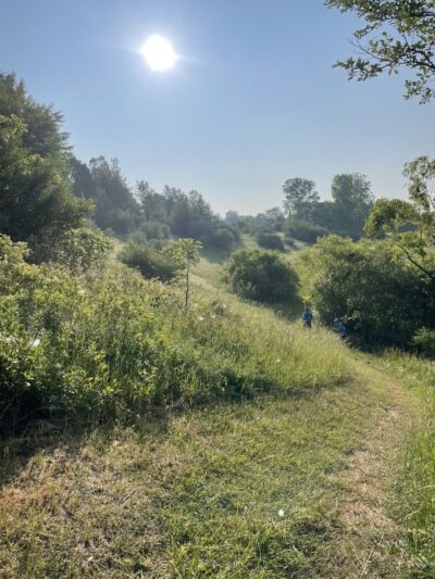Sleepy Hollow State Park - Biking/Hiking Trail - Laingsburg,