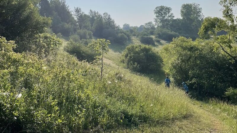 Sleepy Hollow State Park - Biking/Hiking Trail - Laingsburg,