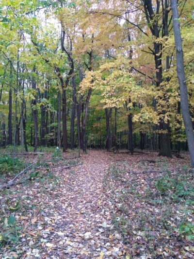 Sleepy Hollow State Park - Biking/Hiking Trail - Laingsburg,