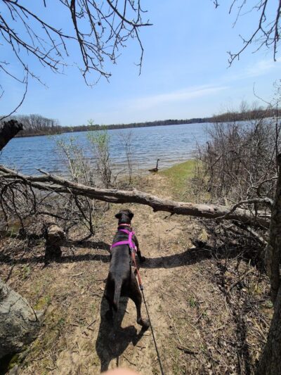 Sleepy Hollow State Park - Biking/Hiking Trail - Laingsburg,