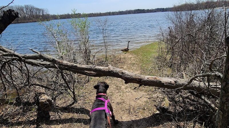 Sleepy Hollow State Park - Biking/Hiking Trail - Laingsburg,