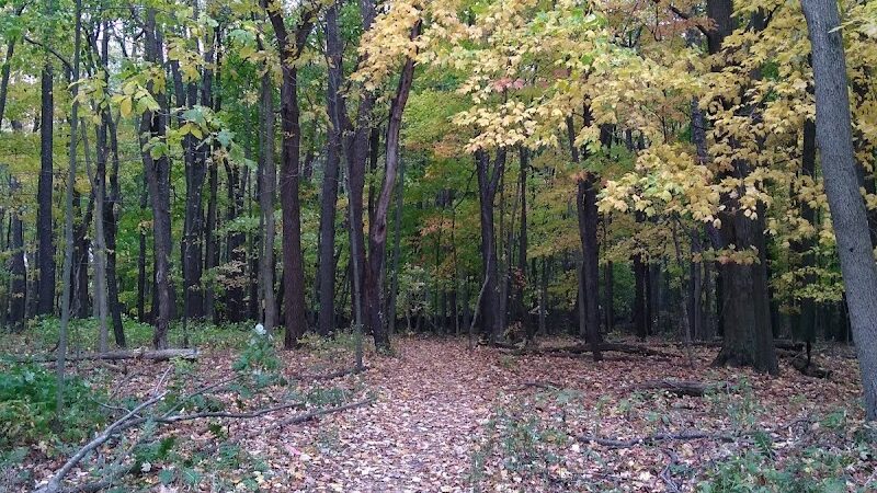 Sleepy Hollow State Park - Biking/Hiking Trail - Laingsburg,