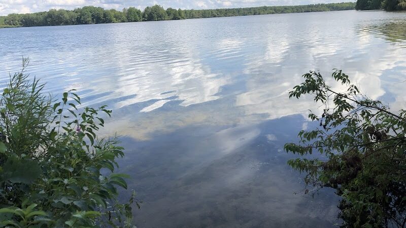 Sleepy Hollow State Park - Parking Lot - South East - Laingsburg,