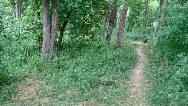 Sleepy Hollow State Park - Parking Lot - South East - Laingsburg,