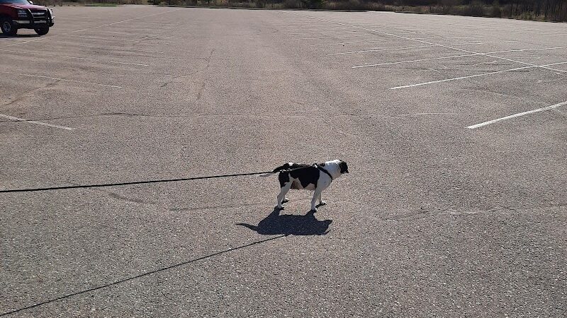 Sleepy Hollow State Park - Parking Lot - South East - Laingsburg,