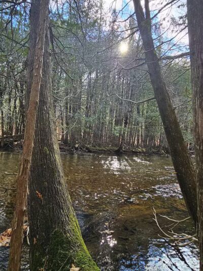 Lake Ann Pathway Trailhead - Lake Ann,