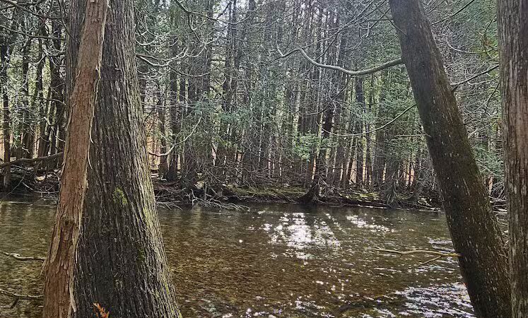 Lake Ann Pathway Trailhead - Lake Ann,