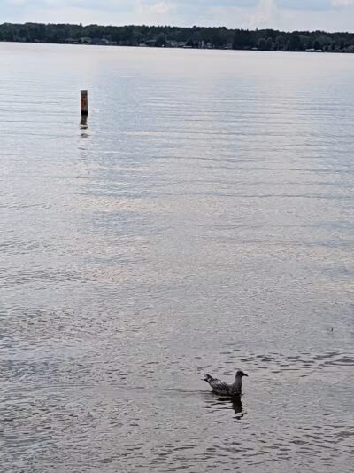 Lake City Veterans Memorial Park - Lake City,