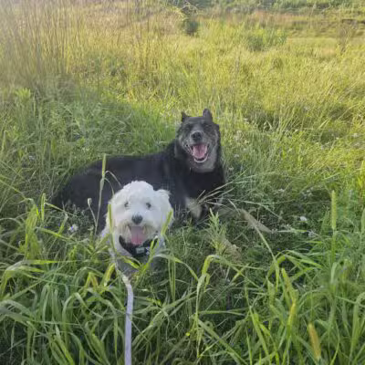 Elmo's Pup Park - Lake Elmo, MN