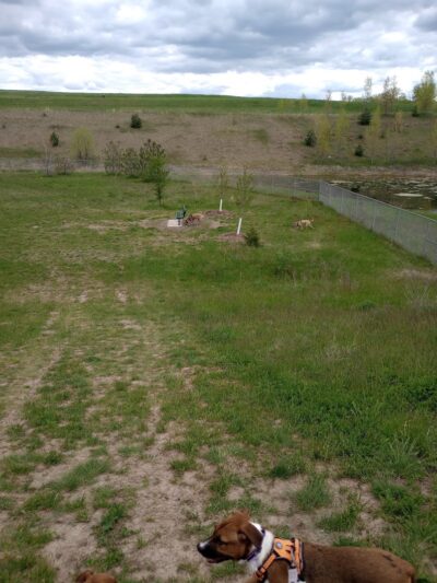 Elmo's Pup Park - Lake Elmo, MN