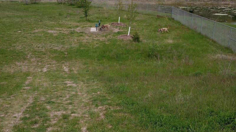 Elmo's Pup Park - Lake Elmo, MN