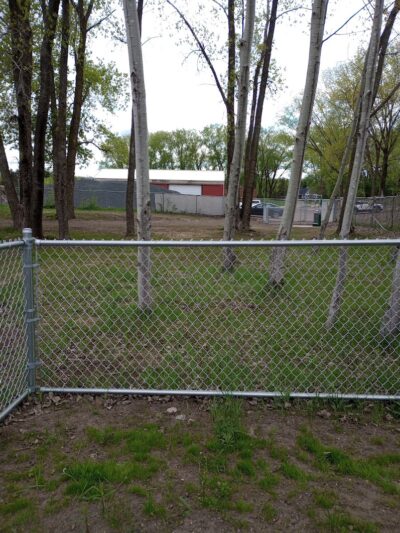 Elmo's Pup Park - Lake Elmo, MN