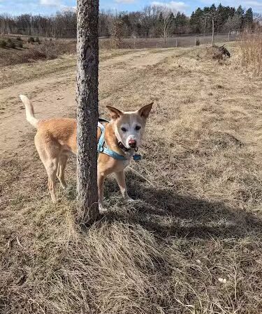 Elmo's Pup Park - Lake Elmo, MN