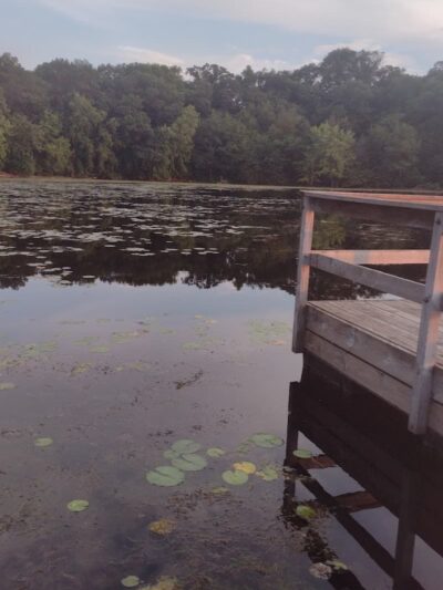 Lake Elmo Dog Park - Lake Elmo, MN