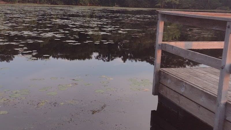Lake Elmo Dog Park - Lake Elmo, MN