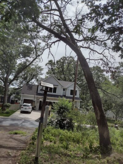 Lake Elmo Dog Park - Lake Elmo, MN