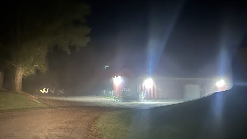 Lake Elmo Dog Park - Lake Elmo, MN