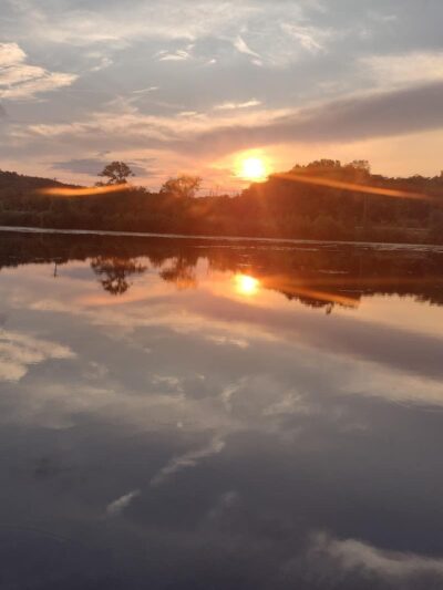 Lake Elmo Dog Park - Lake Elmo, MN