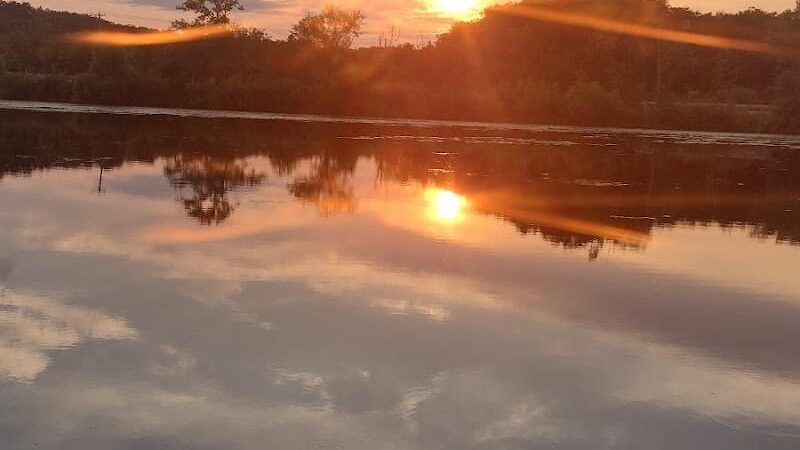 Lake Elmo Dog Park - Lake Elmo, MN