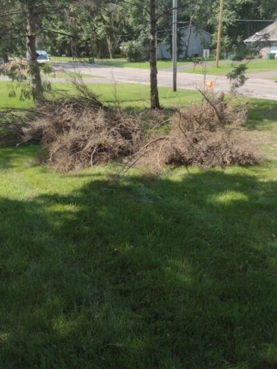 Lake Elmo Dog Park - Lake Elmo, MN