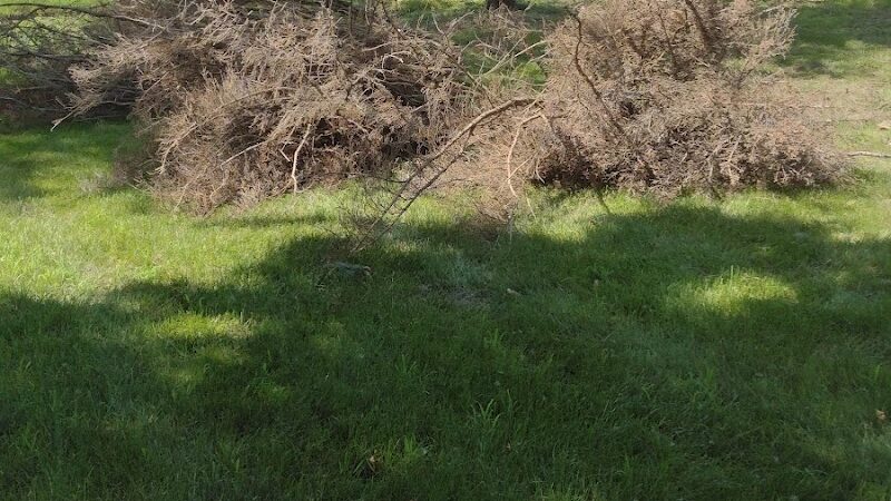 Lake Elmo Dog Park - Lake Elmo, MN