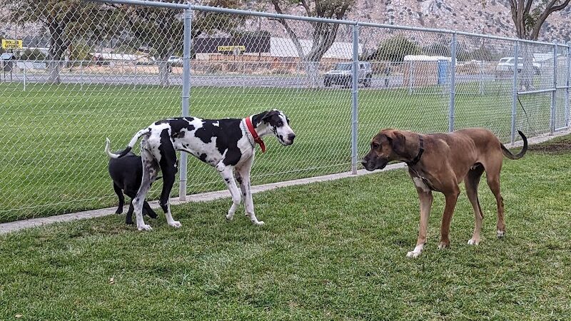 Kern Valley Dog Park - Lake Isabella, CA