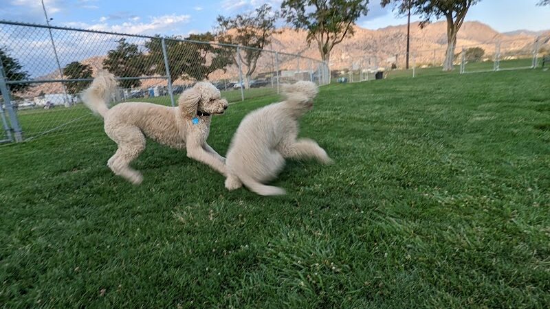 Kern Valley Dog Park - Lake Isabella, CA