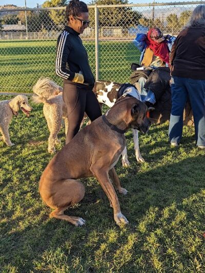 Kern Valley Dog Park - Lake Isabella, CA