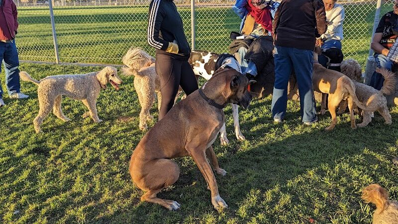 Kern Valley Dog Park - Lake Isabella, CA