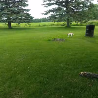 Letson Park - Lake, MI