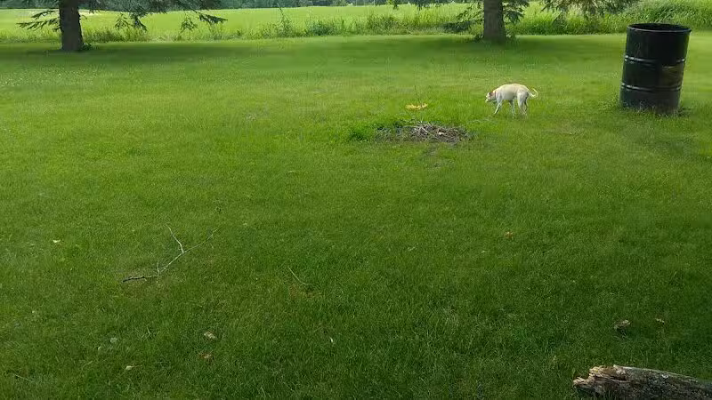 Letson Park - Lake, MI