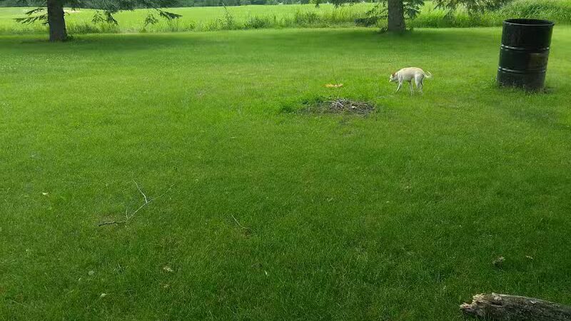 Letson Park - Lake, MI